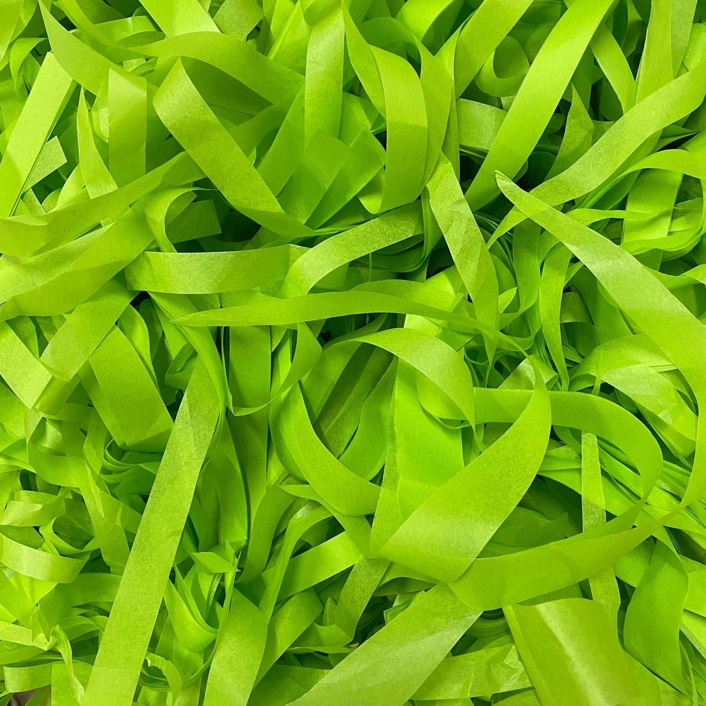 Lime Green Paper Disco Paper 3 kg
